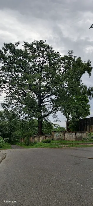 IMS(I-V) G-9/1 school no 10 Picture 4