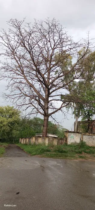 IMS(I-V) G-9/1 school no 10 Picture 5