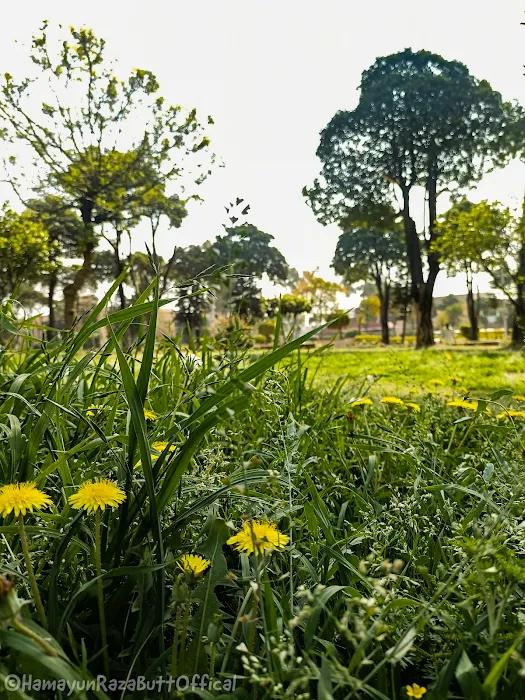 Academic Complex, AIOU Picture 10