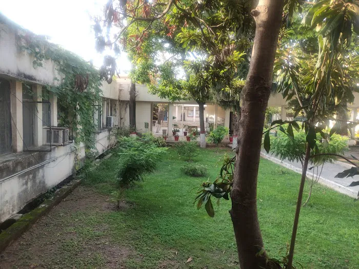 Federal College of Education Picture 9