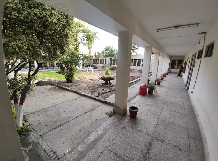 Federal College of Education Picture 1