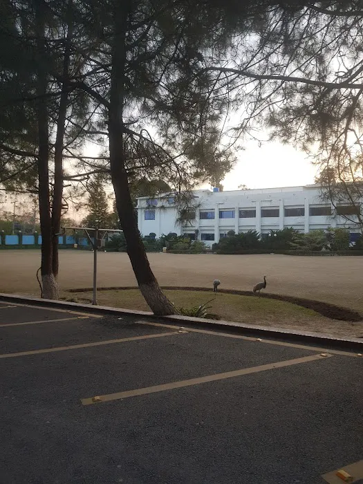 Iqra University - Islamabad Campus (IUIC) Picture 6