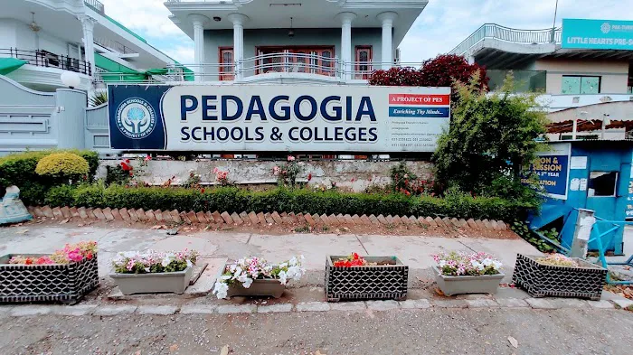 Pedagogia School & College Picture 1