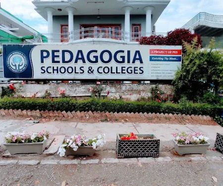 Pedagogia School & College