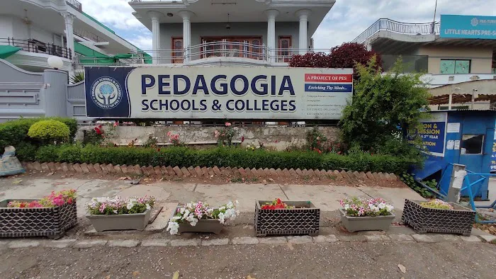 Pedagogia School & College Picture 5