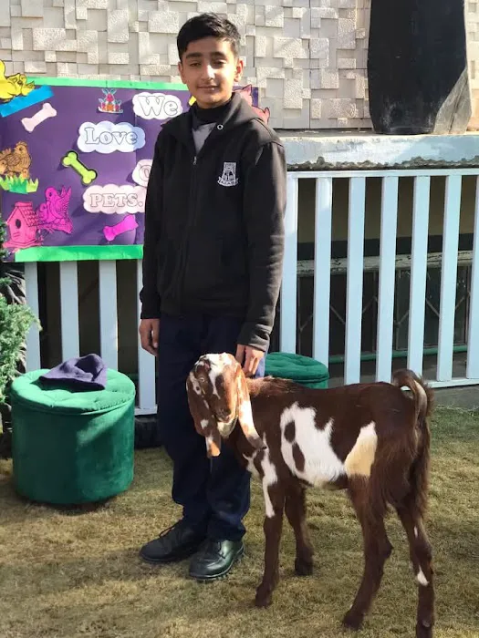 Asas International School, Expressway Branch Picture 6