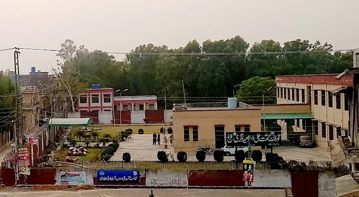 Govt. Hashmat Ali Islamia Degree College Picture 7