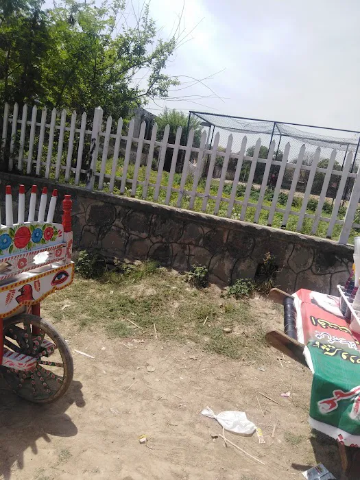 Islamabad Model College for Girls I-10/4 (STEM Intervention) Picture 7