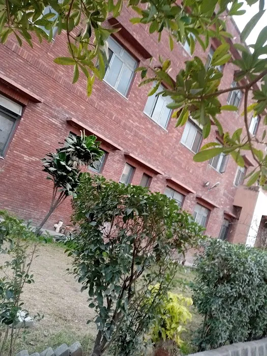 Govt Shehbaz Sharif Degree College Picture 10