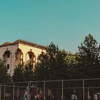 University College for Women ico