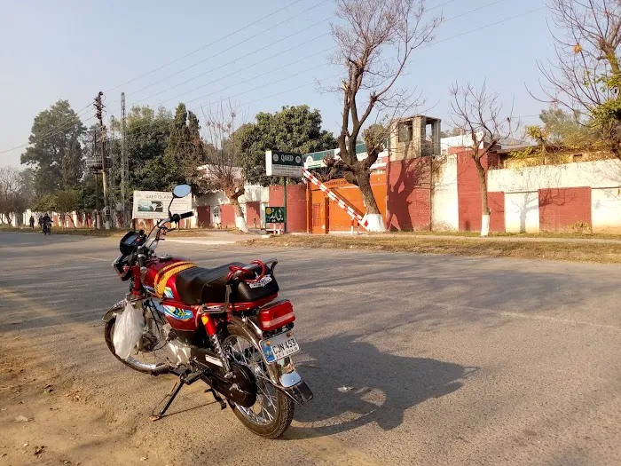 Quaid-e-Azam Academy For Educational Development Picture 10