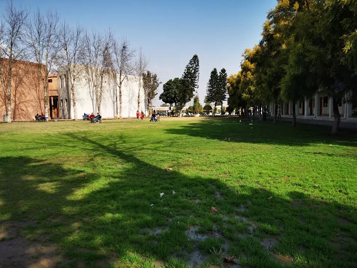National University Of Modern Languages (NUML) Picture 10