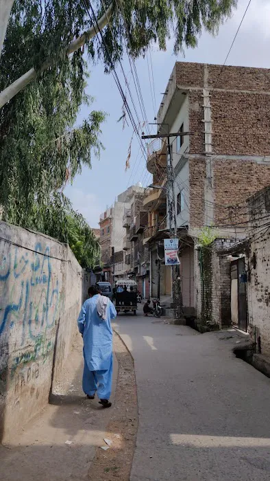 Govt Degree College For Women Dhoke Hassu Picture 4