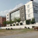 The Millennium Universal College TMUC