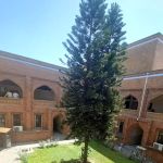 Faculty of Arabic IIUI