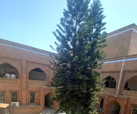 Faculty of Arabic IIUI