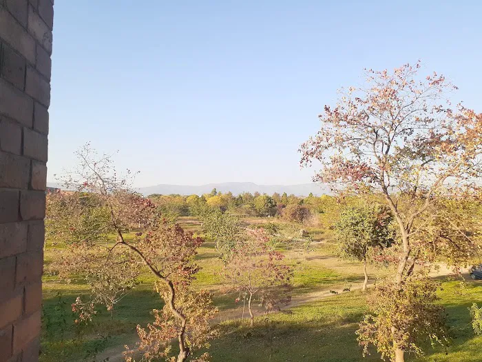 International Islamic University Islamabad (IIUI) Picture 3