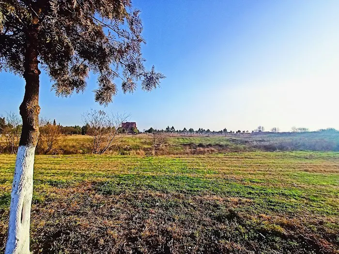 IIUI Girls Campus Picture 4