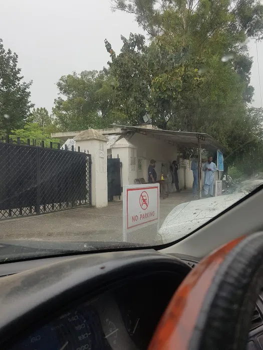 Islamabad Model College for Girls F-10/2 Picture 5