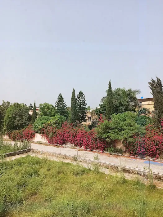 Federal Govt. College of Home Economics & Management Sciences Picture 5