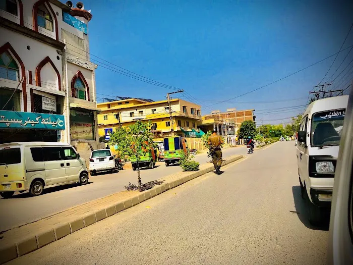 Punjab College For Women Picture 5