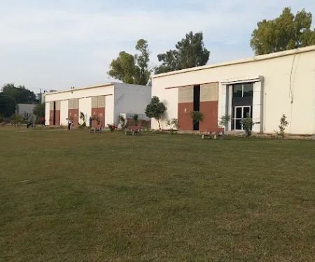 Hazza Institute of Technology