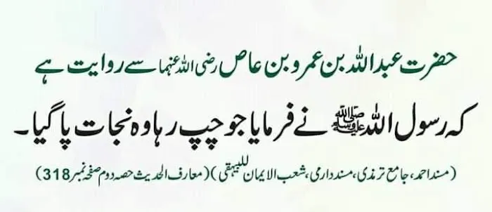 Sabri Dera Picture 3