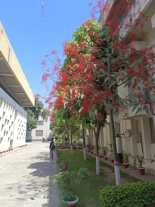 National College of Arts, Rawalpindi (NCA) Picture 4