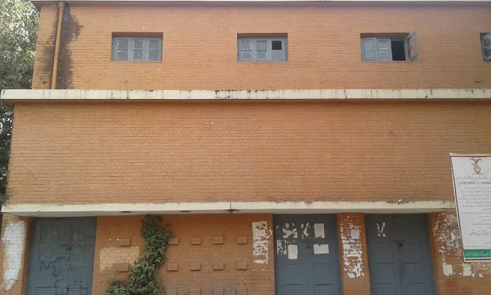 Auditorium Windows in Gordon College Picture 1