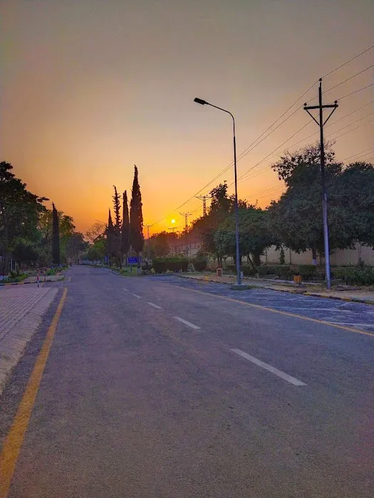ARID AGRICULTURE UNIVERSITY Picture 1