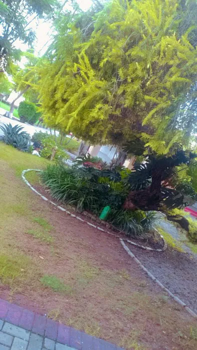 F.G. Postgraduate College for Women Rawalpindi. Picture 5