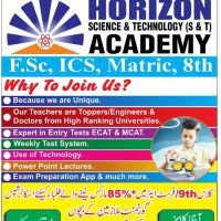 HORIZON SCIENCE & TECHNOLOGY (S & T) ACADEMY ico