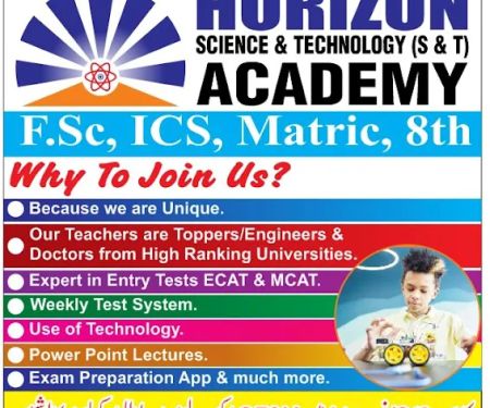 HORIZON SCIENCE & TECHNOLOGY (S & T) ACADEMY