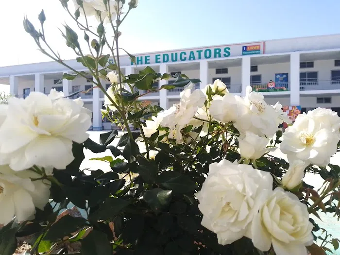 The Educators Picture 3