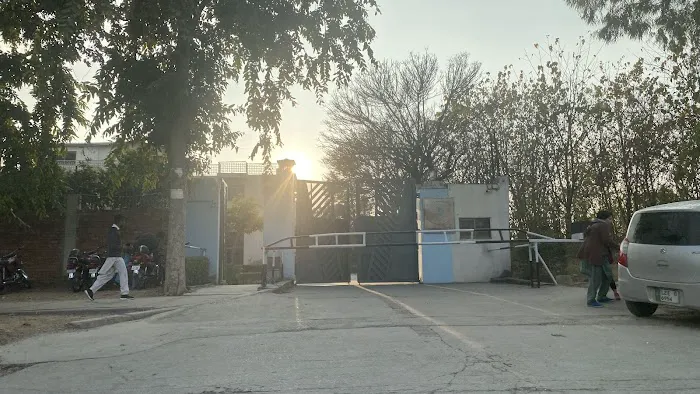 Shifa College of Pharmaceutical Sciences Picture 7