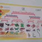 Islamabad model school for girls (1-5)Herdogher (blended E learning primary component)