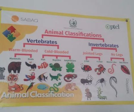 Islamabad model school for girls (1-5)Herdogher (blended E learning primary component)