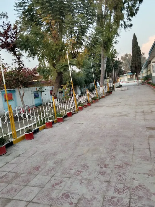 IMSB (I-V) Tarnol (F.A) - Blended E Learning- (Primary Component) Picture 4