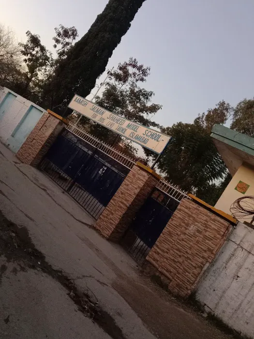 IMSB (I-V) Tarnol (F.A) - Blended E Learning- (Primary Component) Picture 2