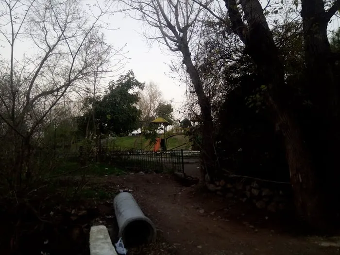 Islamabad Model College for Girls G-10/2 Picture 3