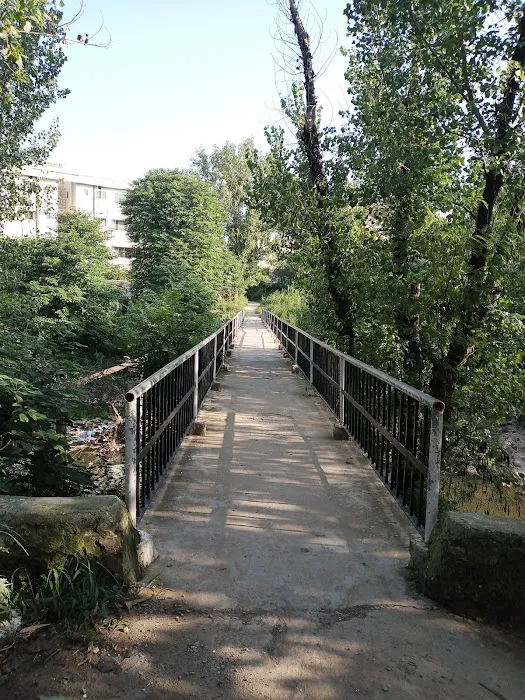 Islamabad Model College for Girls G-10/2 Picture 6