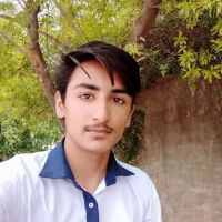 Muhammad Ali Model School and College ico