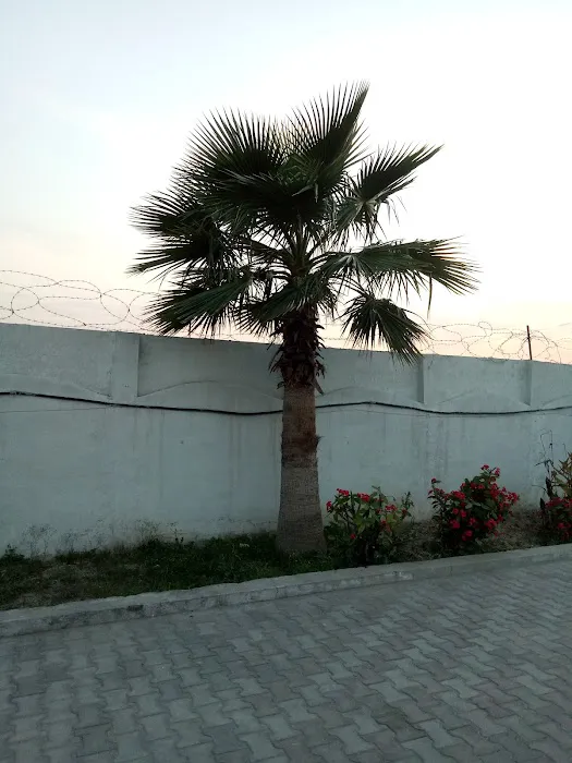 Punjab College Kallar Syedan Picture 5