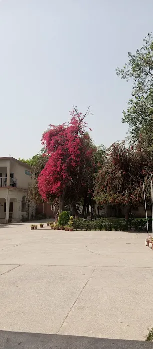 FAZAIA BILQUIS COLLEGE OF EDUCATION FOR WOMEN Picture 4