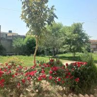 Govt. Associate College for Boys, Rehmatabad, Rawalpindi ico