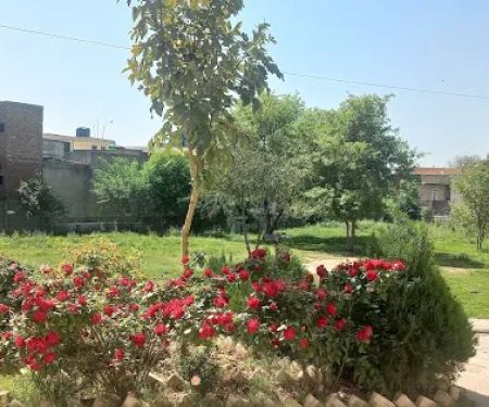 Govt. Associate College for Boys, Rehmatabad, Rawalpindi