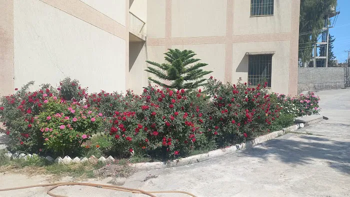 Govt. Associate College for Boys, Rehmatabad, Rawalpindi Picture 3