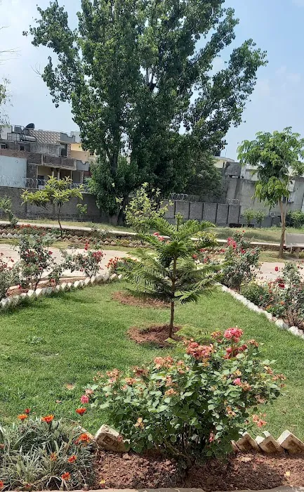 Govt. Associate College for Boys, Rehmatabad, Rawalpindi Picture 6
