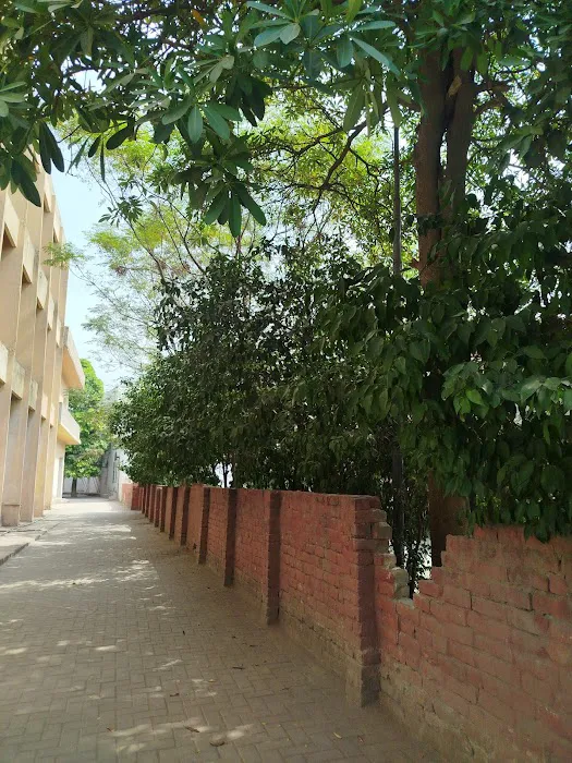 Govt Graduate College Asghar Mall Rawalpindi Picture 7