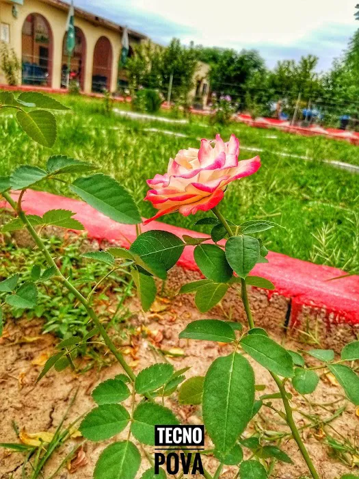 Govt Elementary School, Dadhar Najjar Picture 1